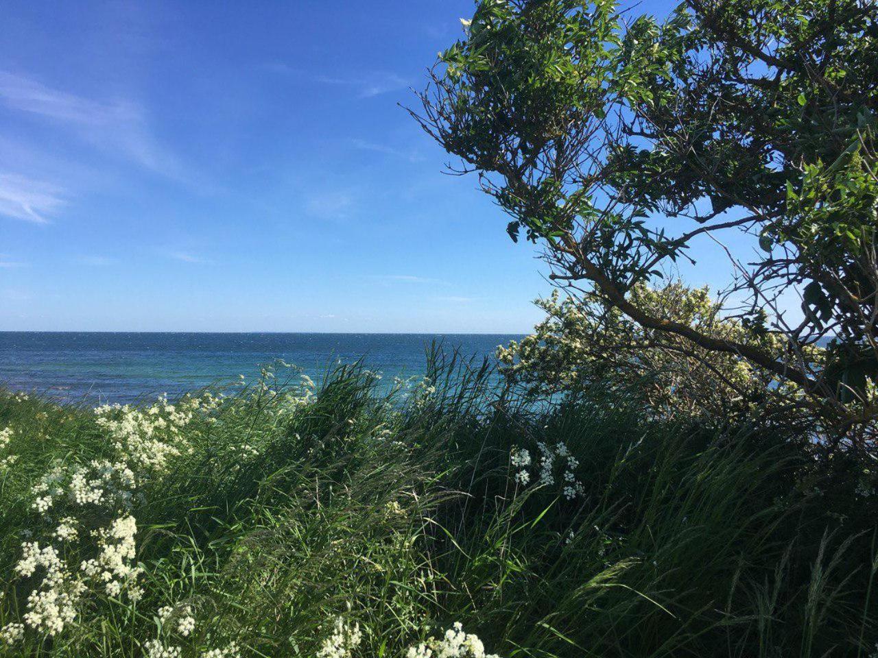 Traumhaftes Strand-Apartment mit Meerblick Staberdorf Exterior foto